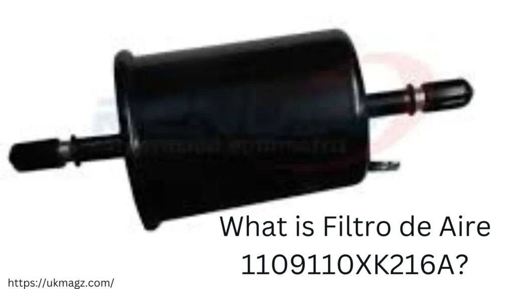 What is Filtro de Aire 1109110XK216A